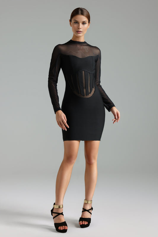 Stretchy High Neck Long Sleeves Netting Bandage Mini Dress