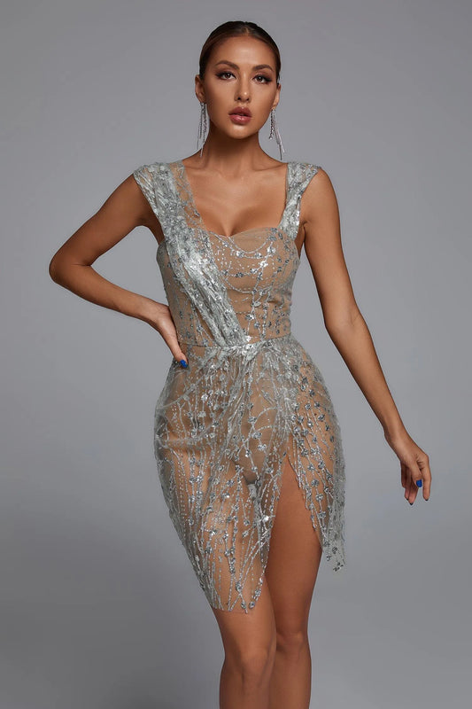 Sedaya Glitter Mesh Mini Dress - Silver